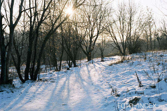 Зимняя дорожка. Nikon FA, Nikkor 50mm, Agfa Vista 100
